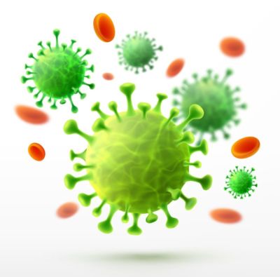 Vector of viruses on white background. bacteria germs microorgan